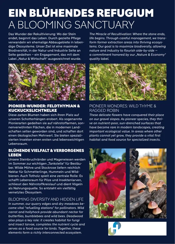 Infotafel: Ein blühendes Refugium
